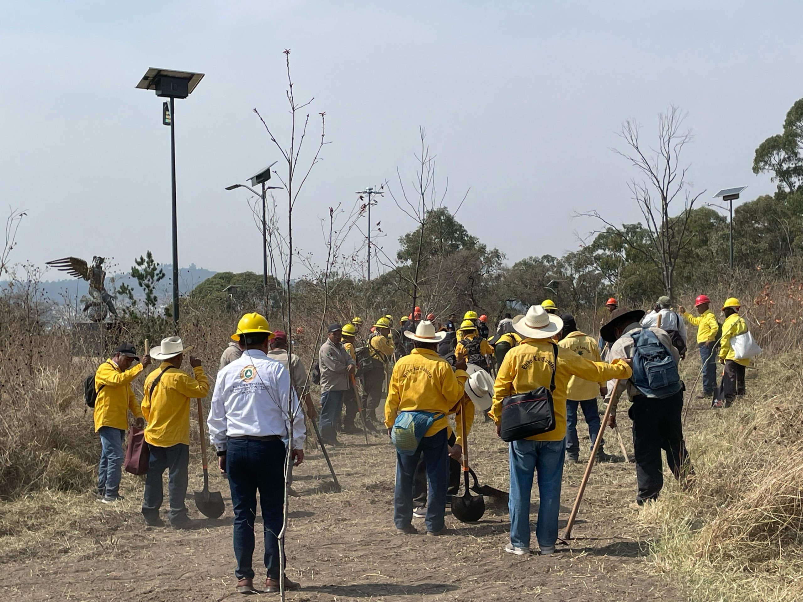 Puebla registra 174 incendios forestales durante este año