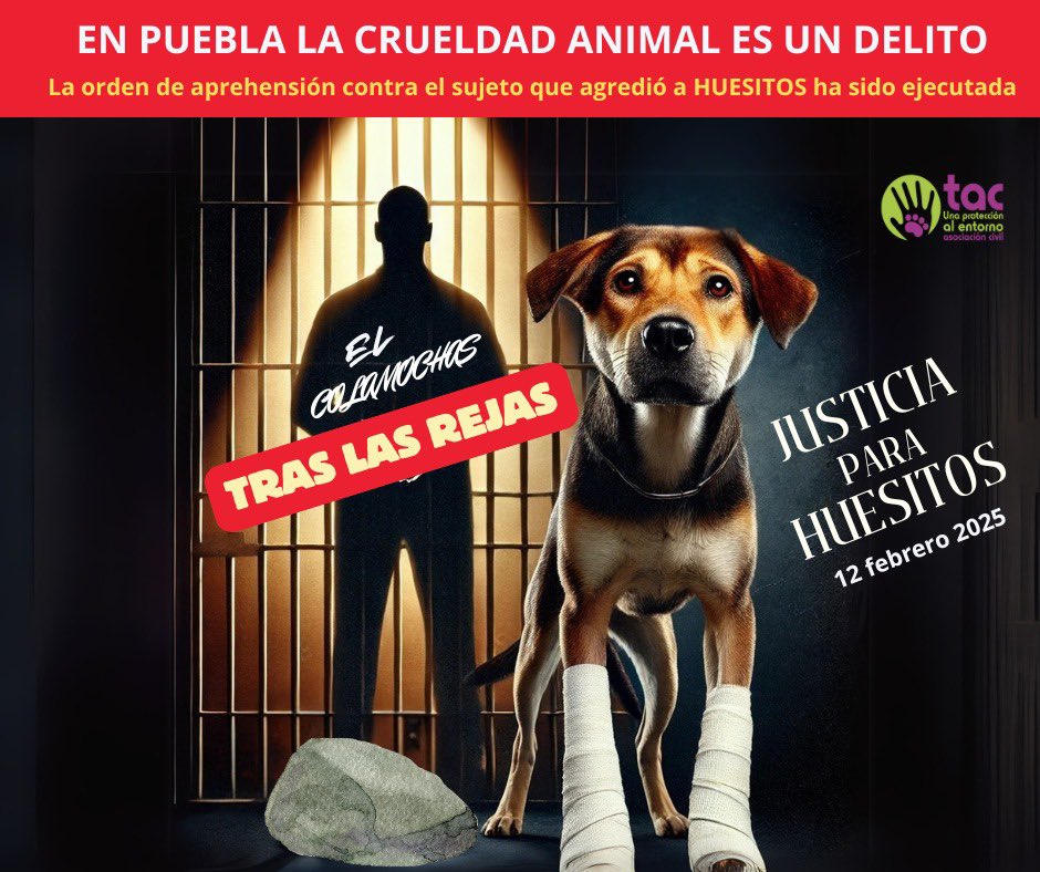 ¡Detienen al agresor de Huesitos!