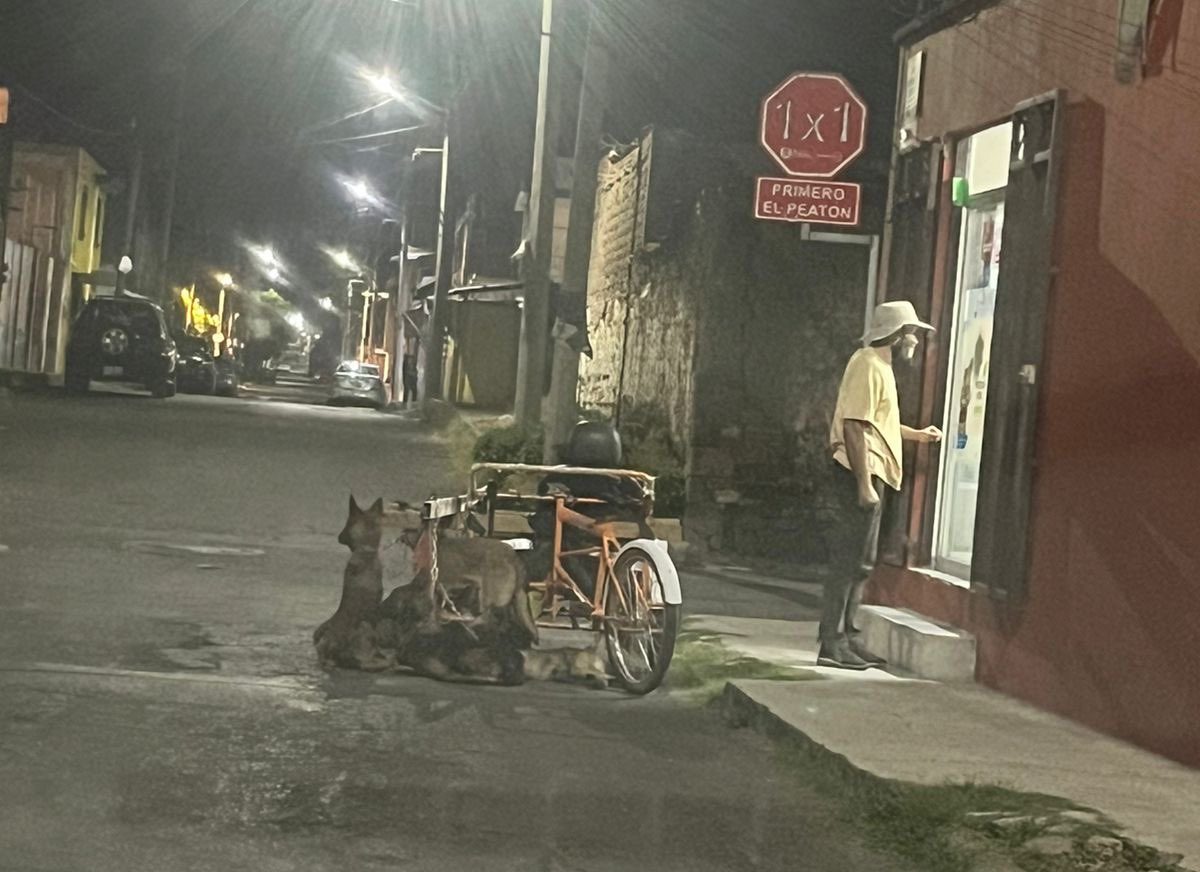 Rescatan a perros que eran encadenados a un triciclo
