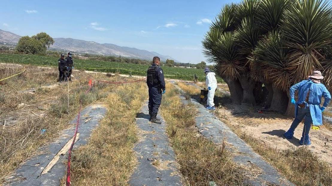 FGE retrasa Investigación en fosa clandestina de Palmar de Bravo