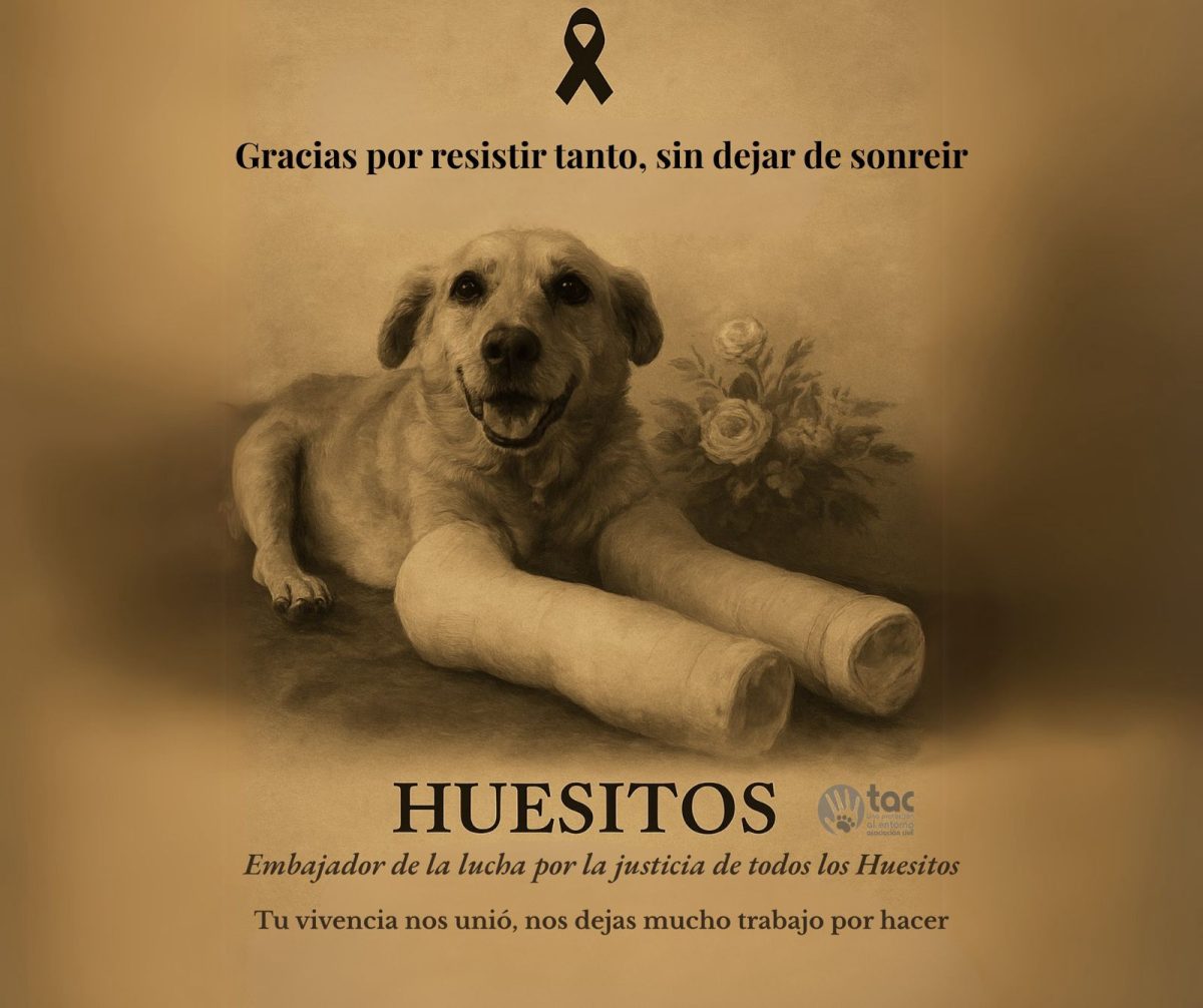 “Huesitos” fallece a consecuencia de un cáncer