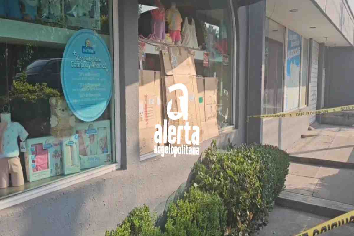 Delincuentes dan cristalazo en “Baby Mink” de Plaza Tolín