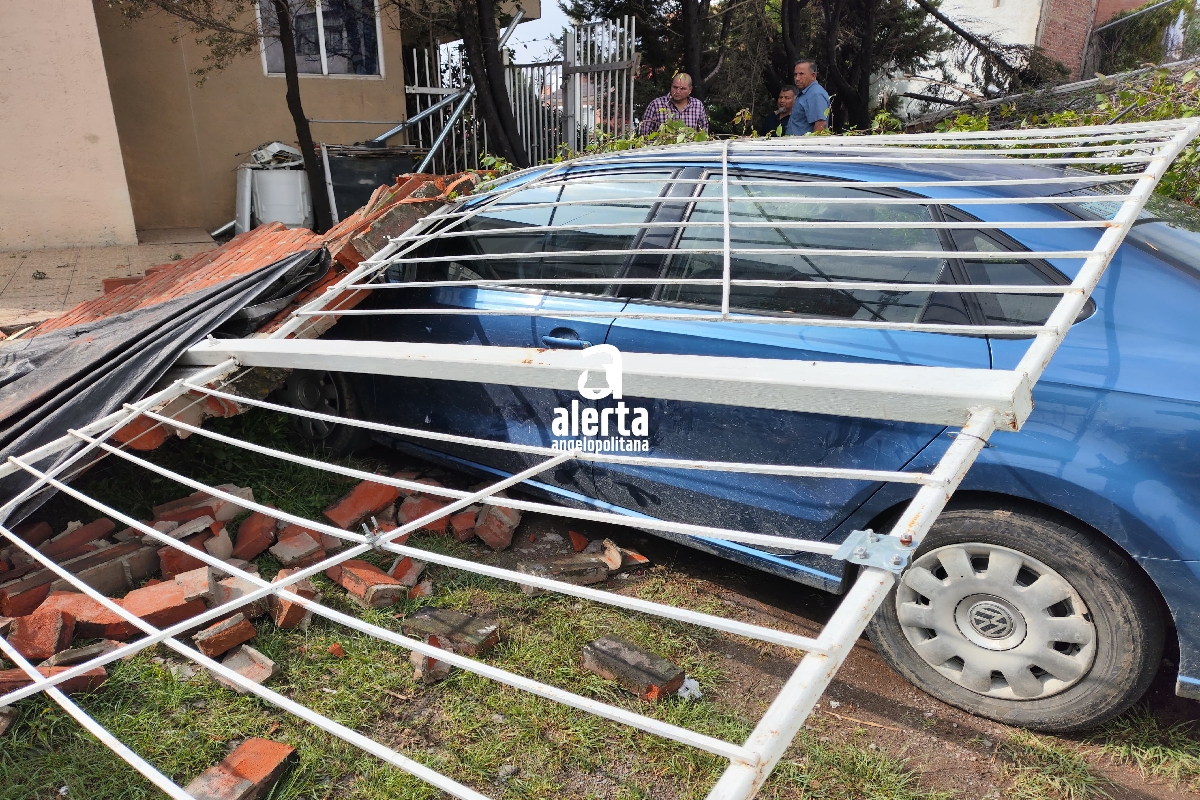 Tromba en San Pedro Cholula deja varios árboles derrumbados