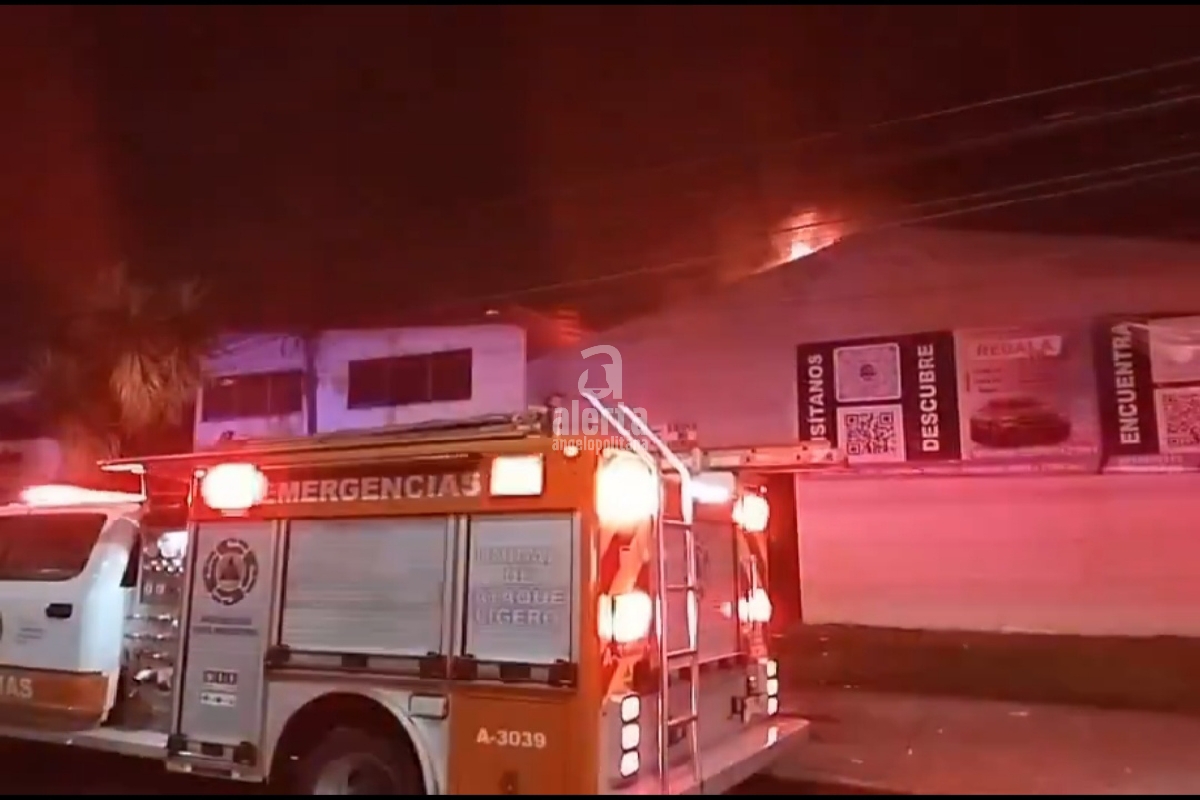 Incendio en taller de hojalateria y pintura deja 9 autos en pérdida total