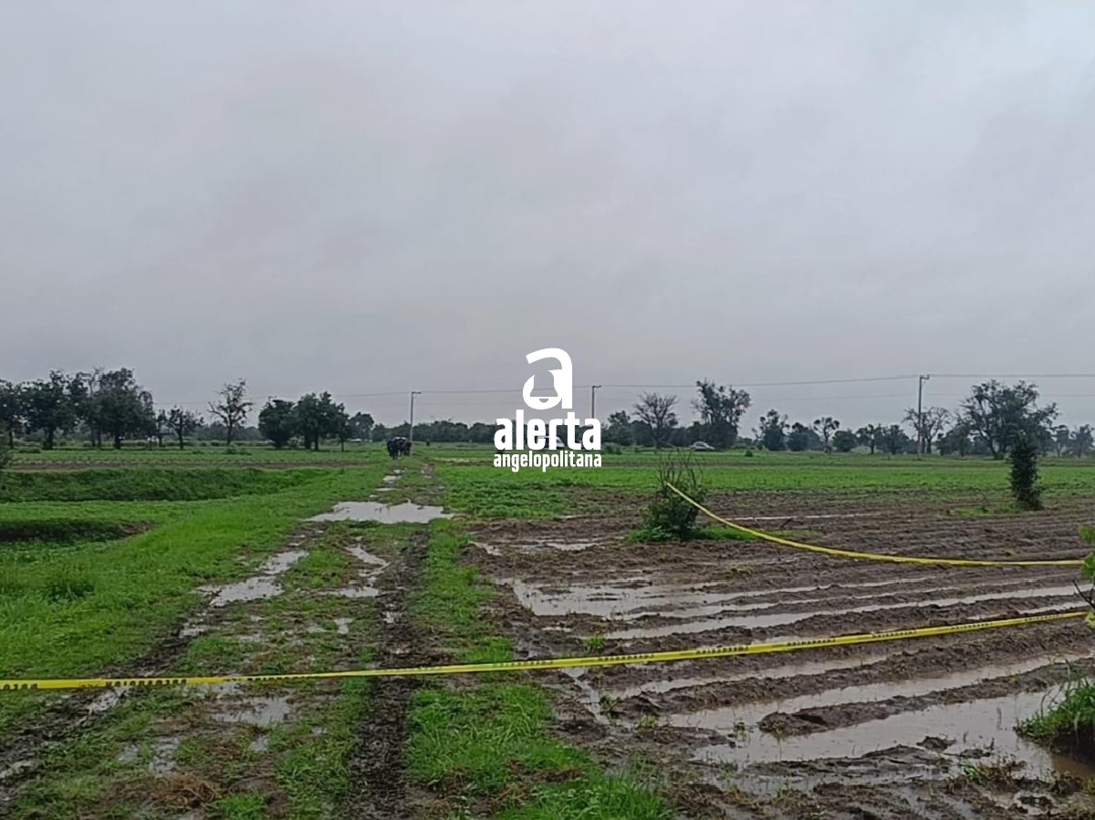 Encuentran 3 muertos en Coronango; fueron tirados en terrenos de cultivo