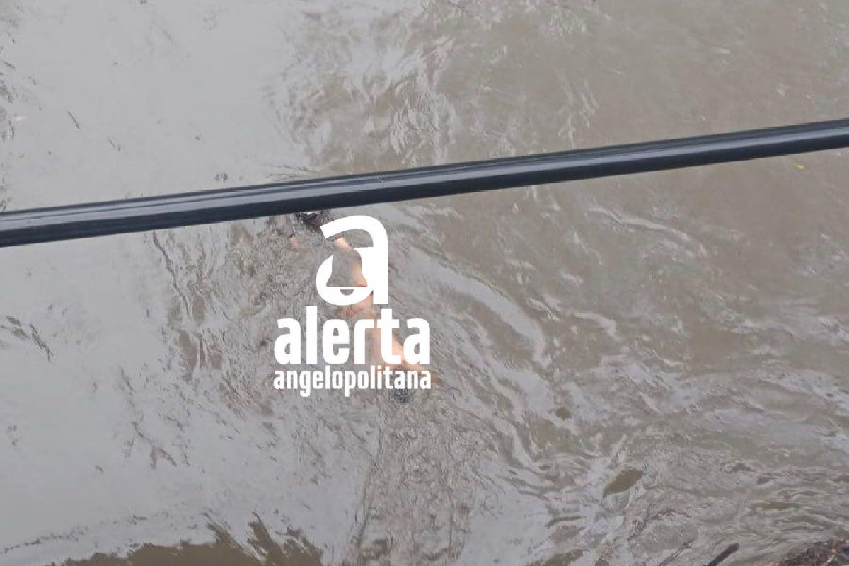 Aparece cadáver flotando en el Río Alseseca