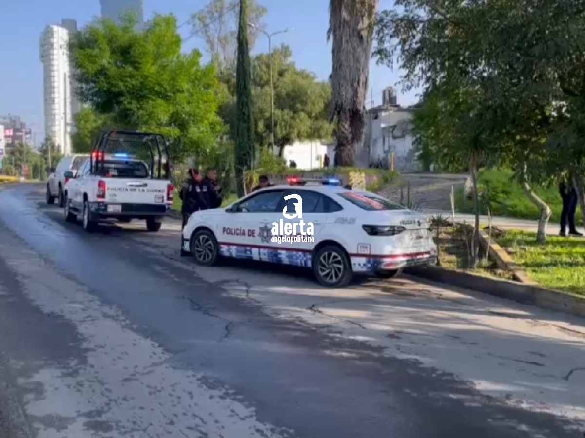 Muere hombre al caer accidentalmente en la 11 Sur