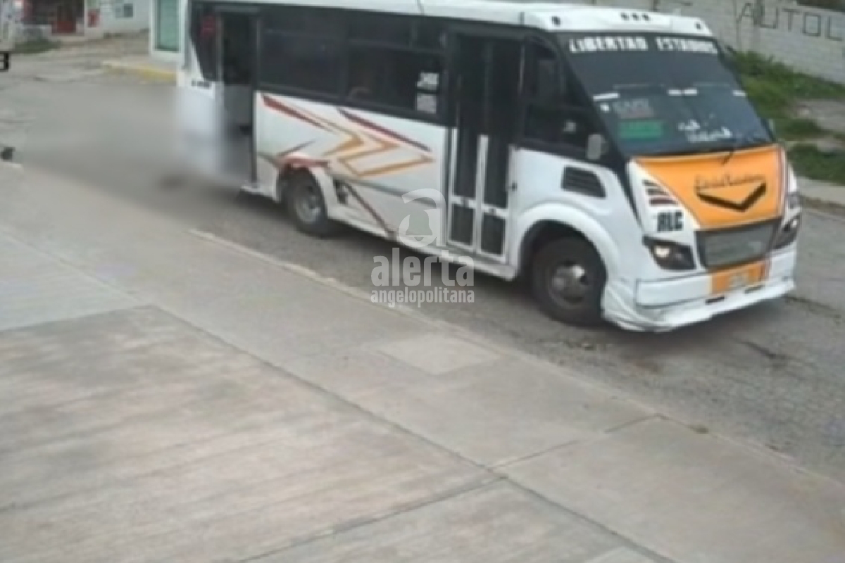 Chófer de la ruta Libertad Cuauhtémoc arrolla deliberadamente a un perrito