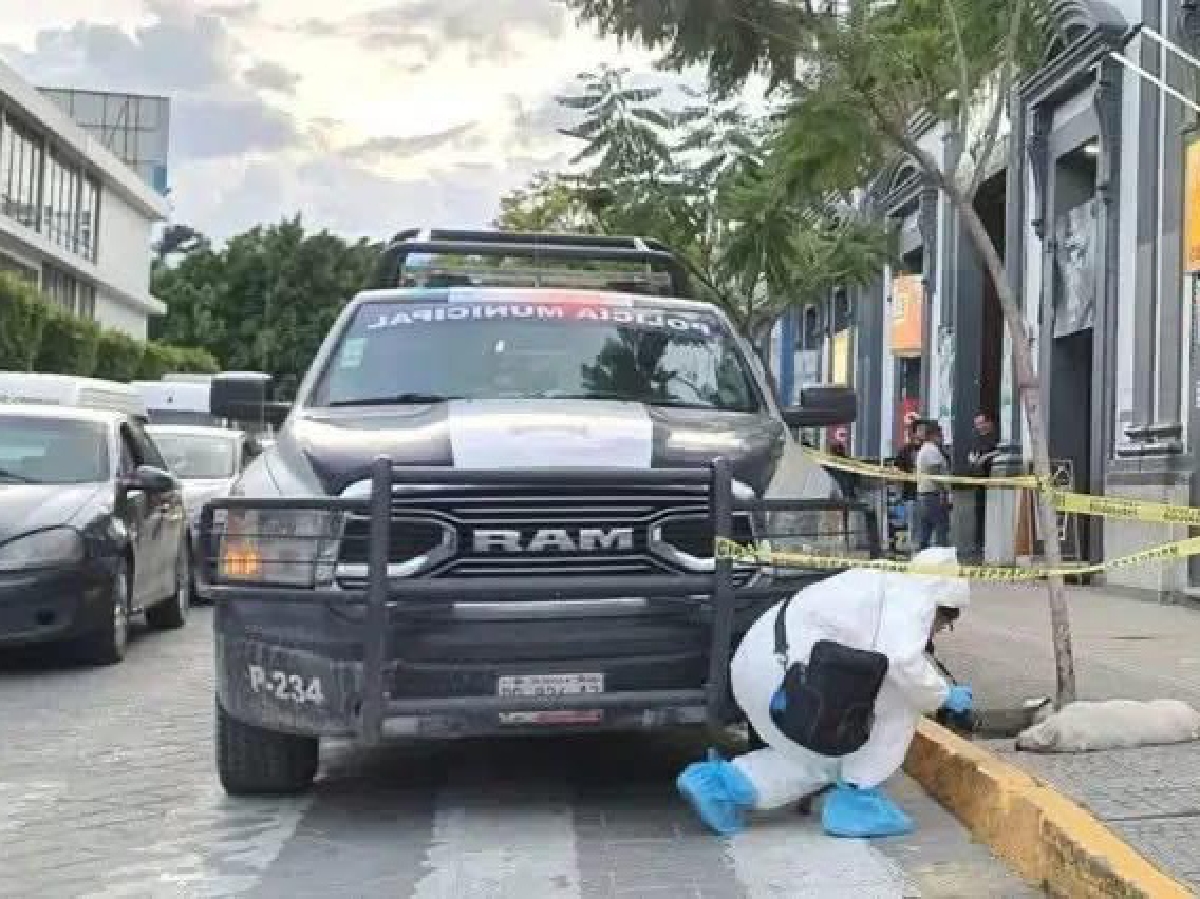 Perrito es atropellado en Tehuacán; autoridades levantan el cuerpo