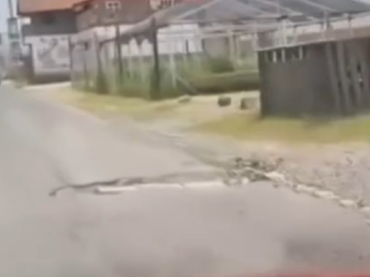 Cumbia del bache; vecinos de Coronango usan música para exigir atención