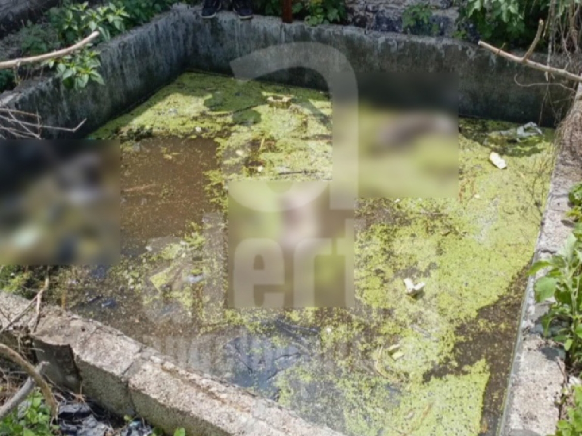 Autoridades hallan cisterna con cuerpos de perros en la colonia Cabañas de Santa María