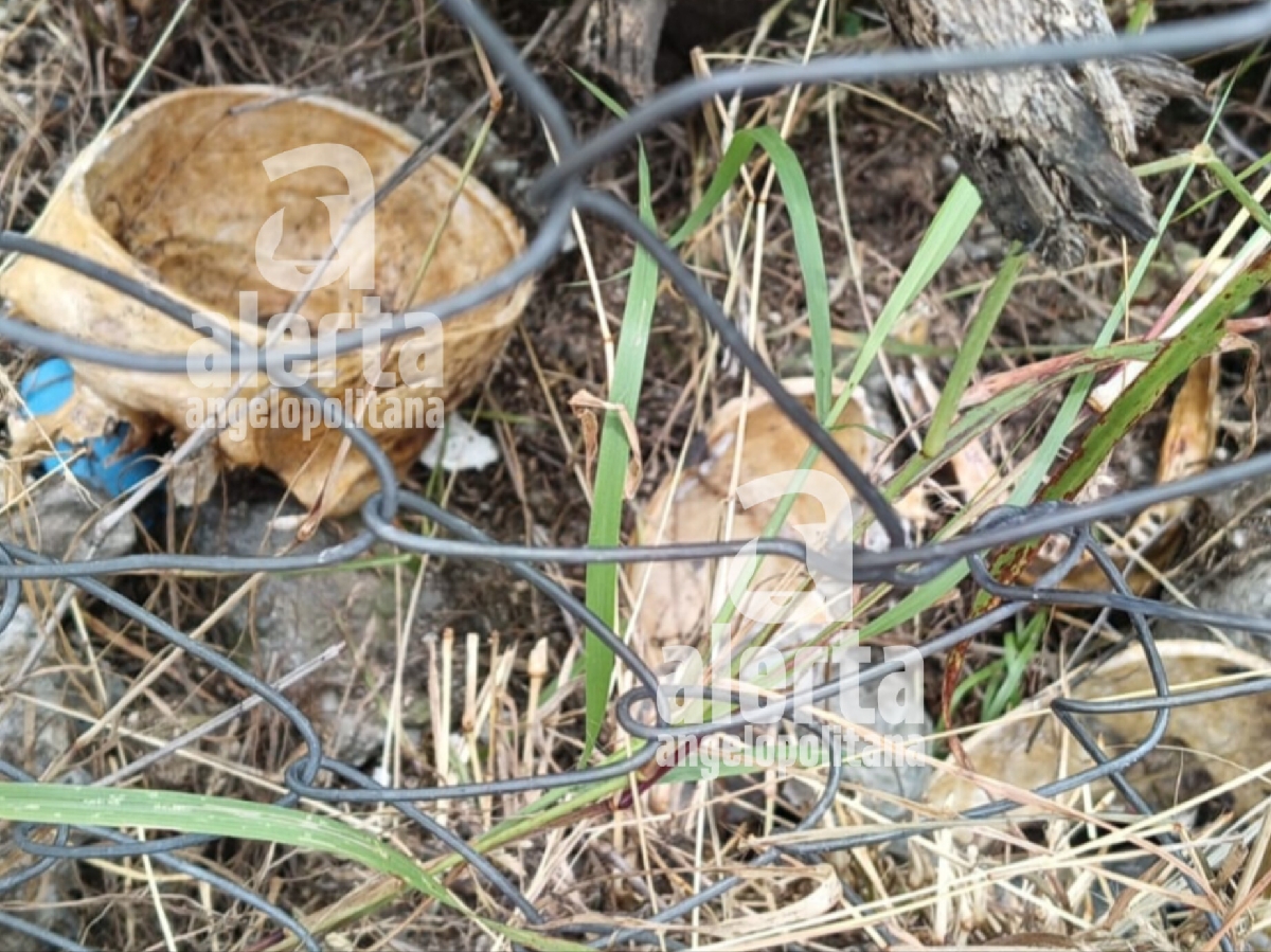 Cráneo falso provoca alarma en Izúcar de Matamoros