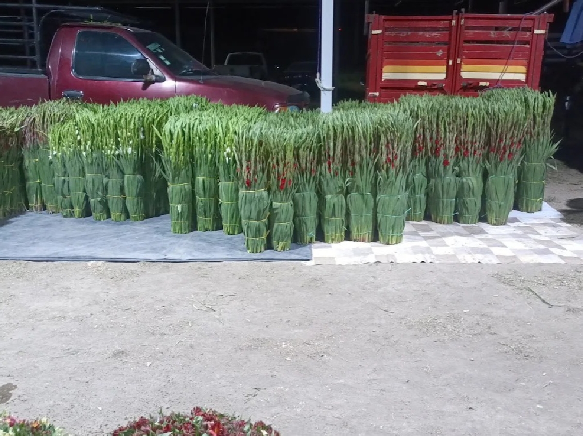Autoridades observan anomalías en el Mercado de las Flores de Huejotzingo