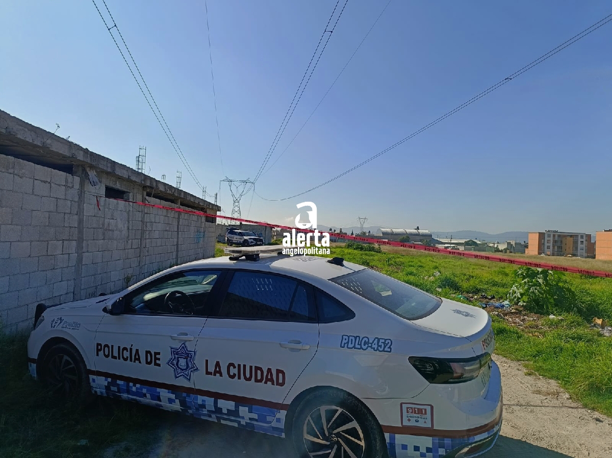 Localizan cadáver con rastros de violencia en Bosques de Manzanilla