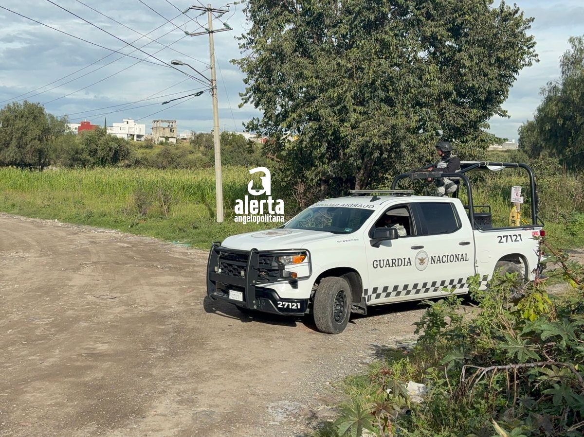 Autoridades investigan hallazgo de embolsado en Santa Lucía