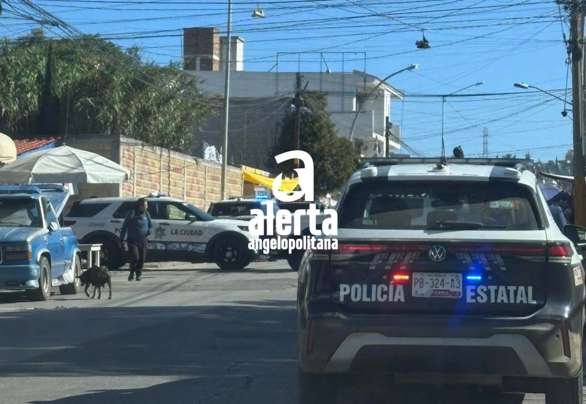 Tianguista de Xochimehuacan es asesinado frente a su familia