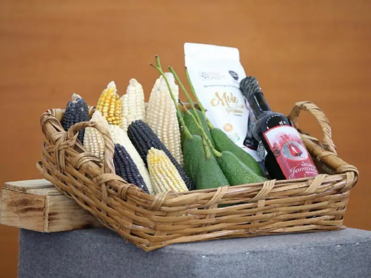 Preparan colocación de primera piedra para los 4 CIITRA en septiembre