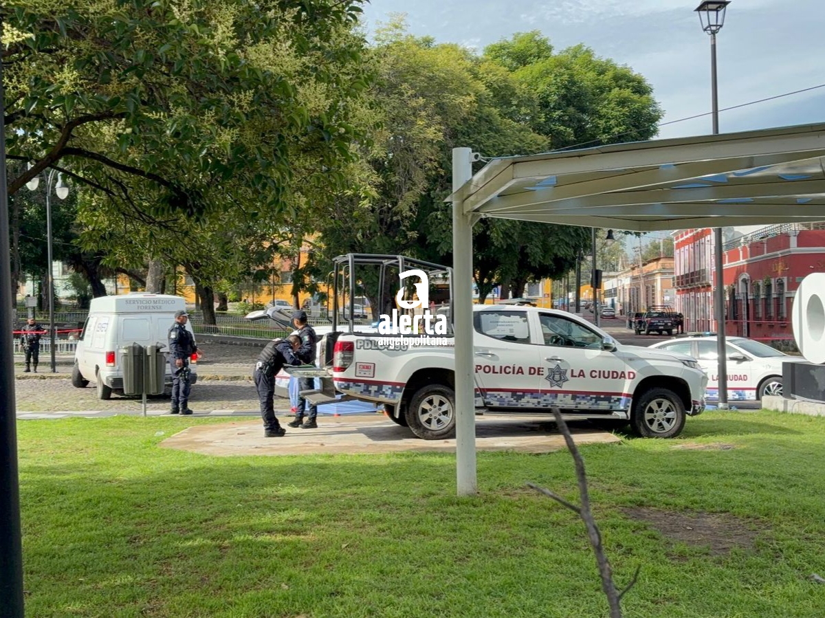 Cuerpos hallados en Puebla se deben a conflictos entre grupos delictivos, asegura Félix Pallares