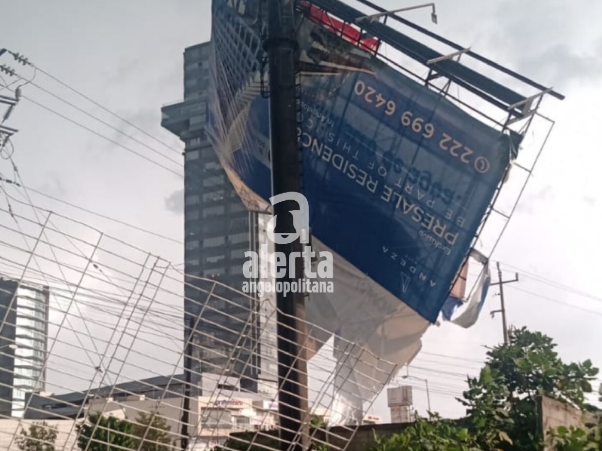 Colapsan espectacular y árbol en Puebla debido a la intensidad de las lluvias