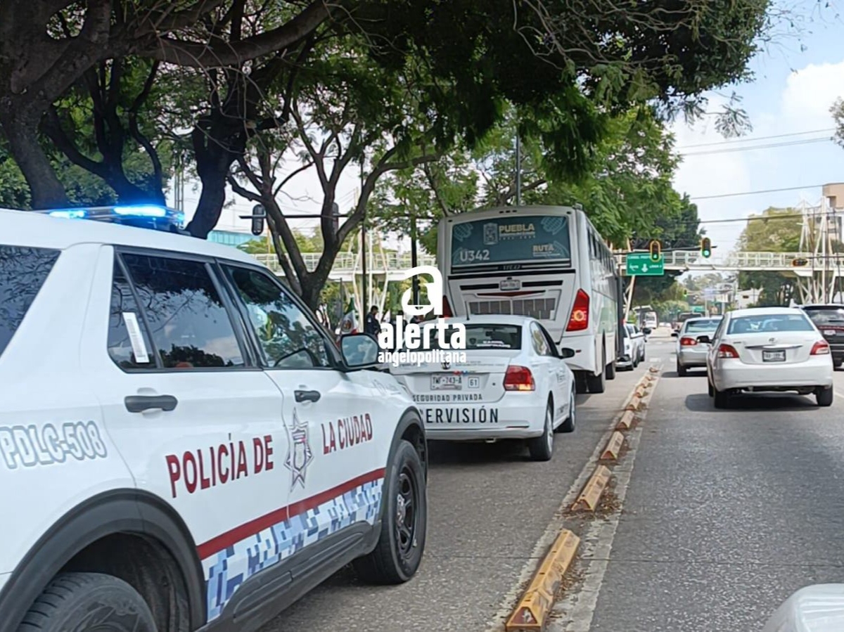 Pasajeros y policías logran detener a ladronas en el RUTA 3