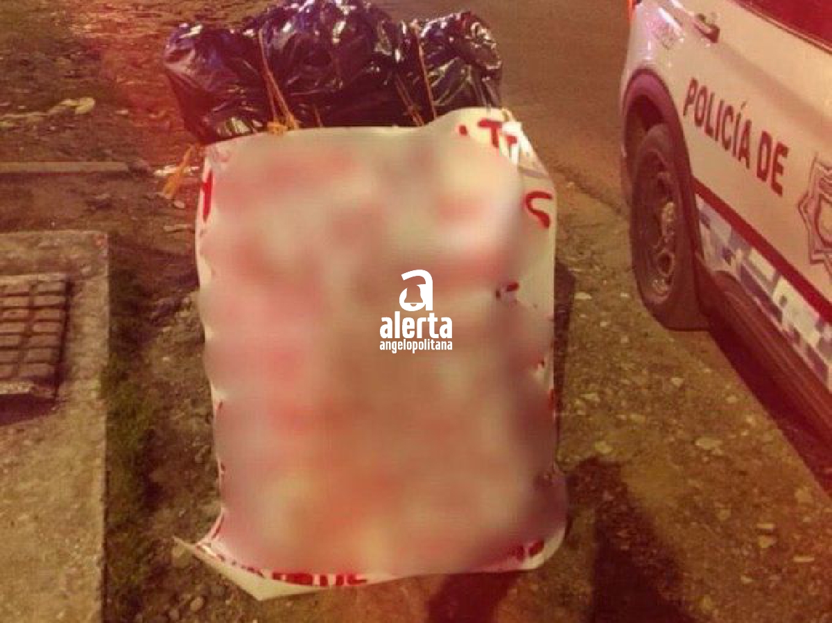 Autoridades hallan restos humanos en La Resurrección