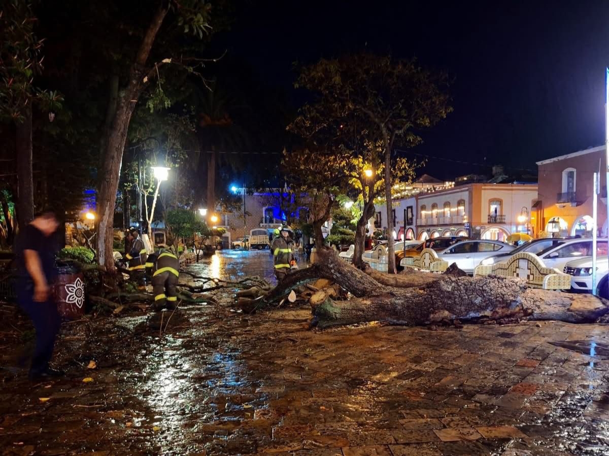 Reportan 200 hectáreas dañadas por lluvias en Atlixco