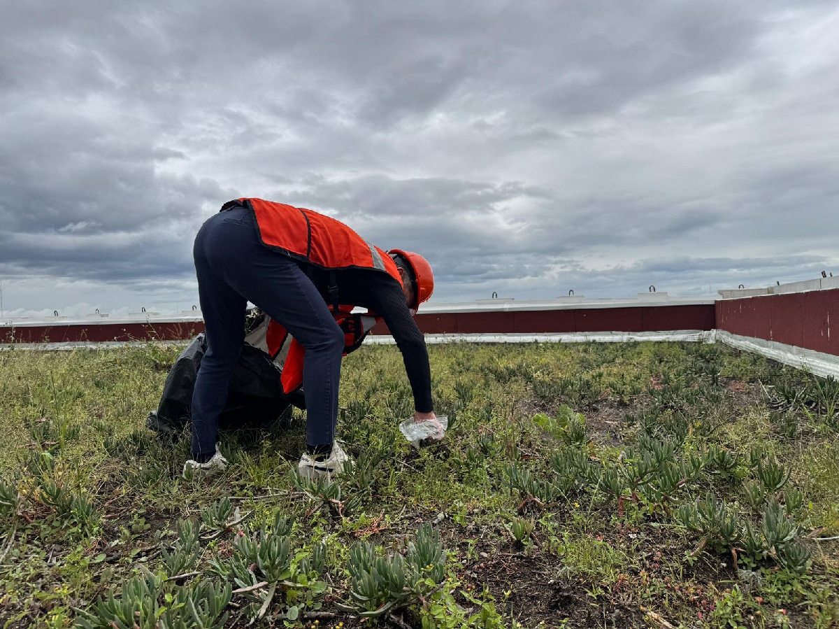 Piden al INAH retirar áreas verdes del Congreso de Puebla por daños en el inmueble