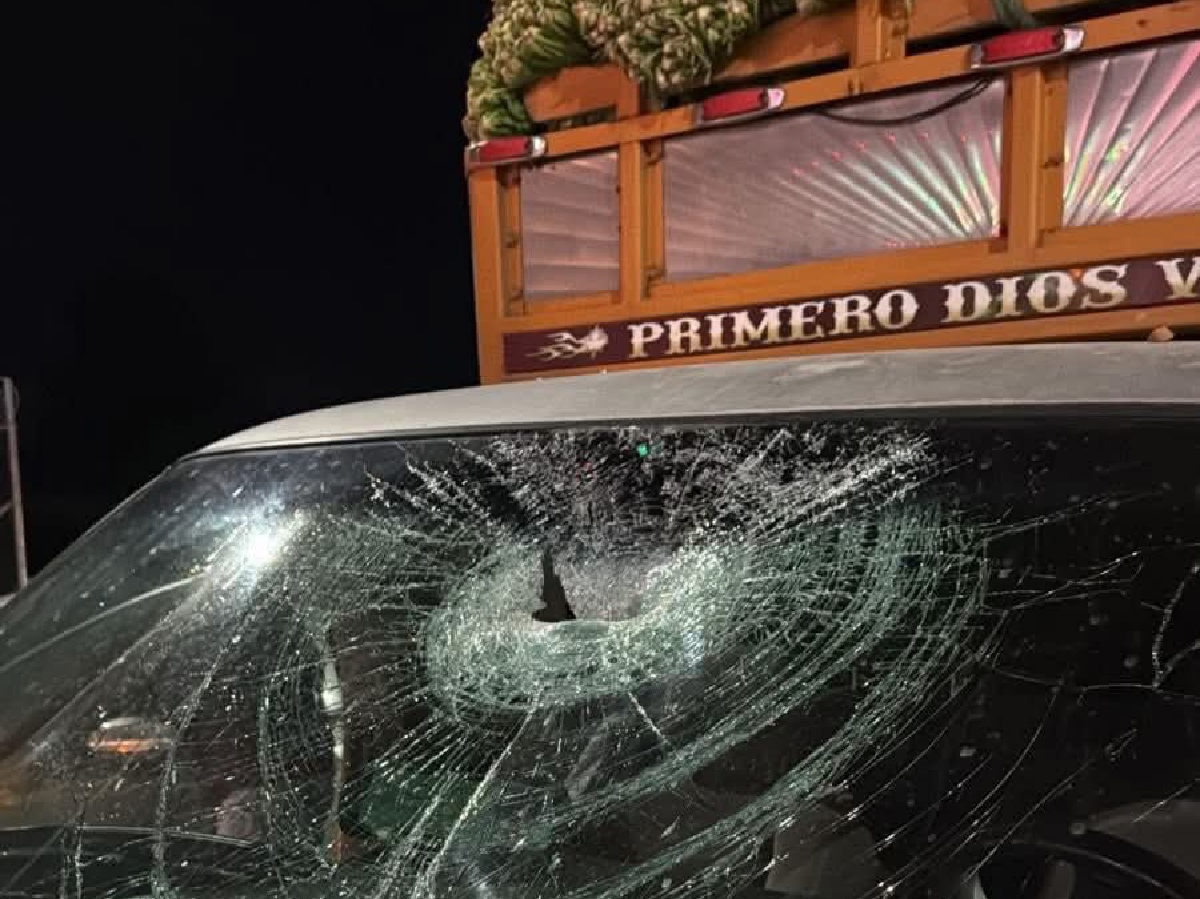 Tianguistas sufren agresión en Arco Norte