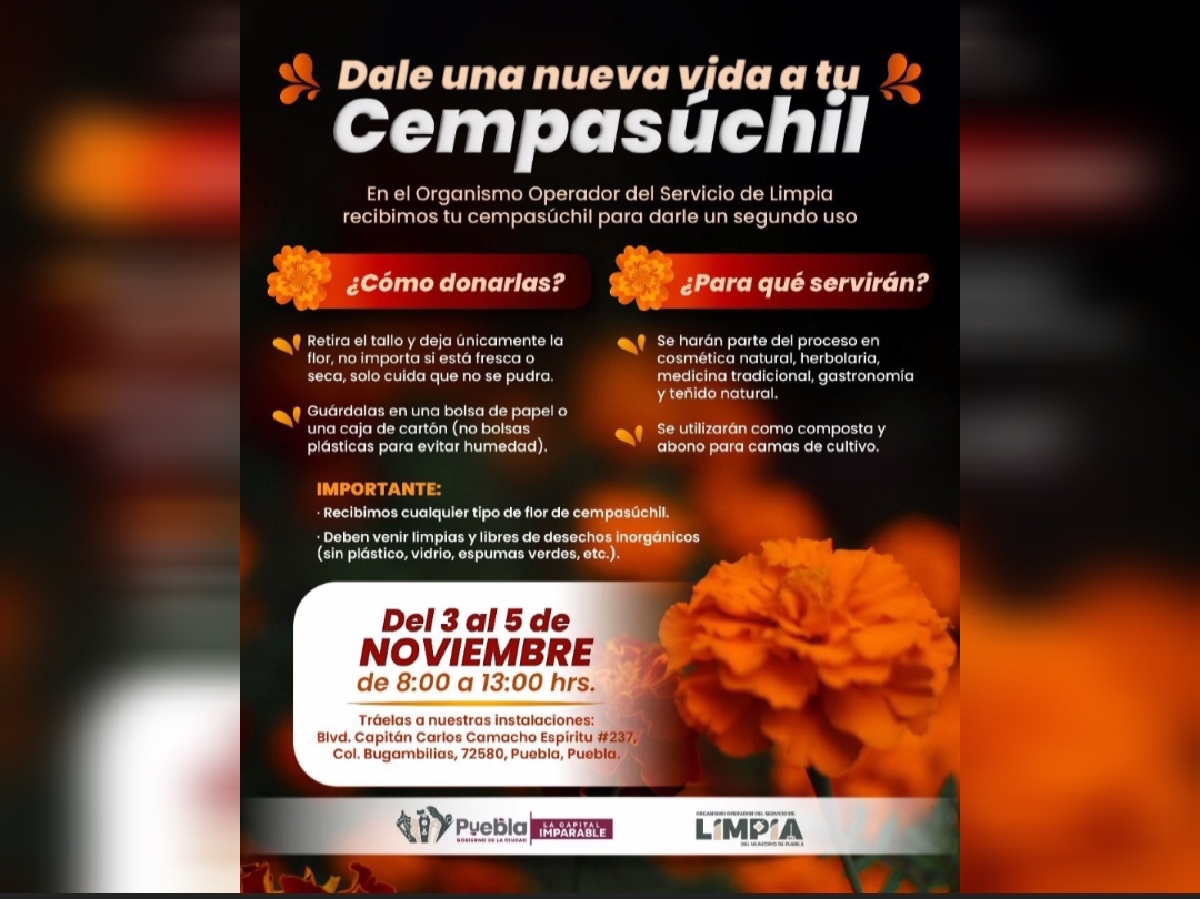 Abre Gobierno de la Ciudad centro de acopio para aprovechamiento de flor de cempasúchil