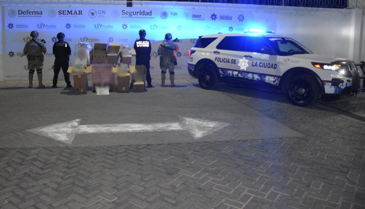 La SSC deja fuera del mercado ilegal más de 40 kilos de estupefacientes