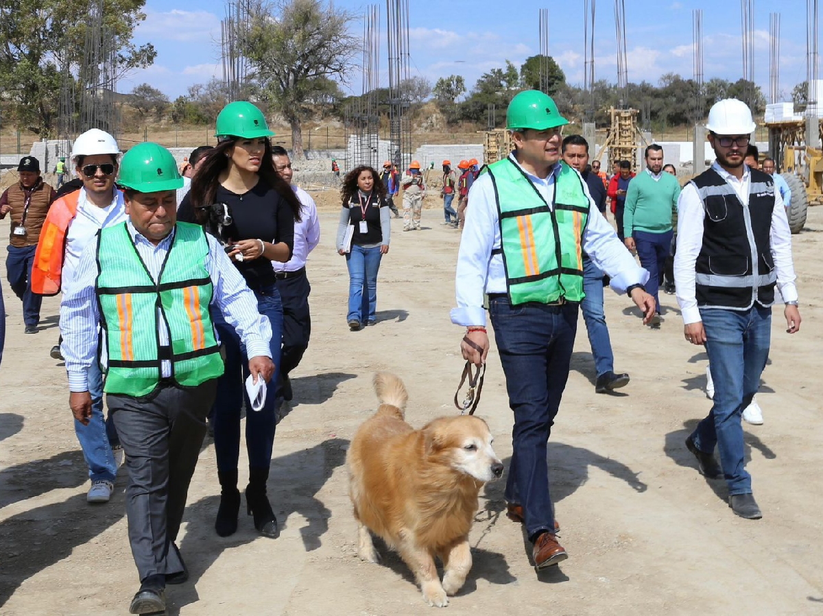 Avanza construcción de Centro de Bienestar Animal; dignificará atención de seres sintientes