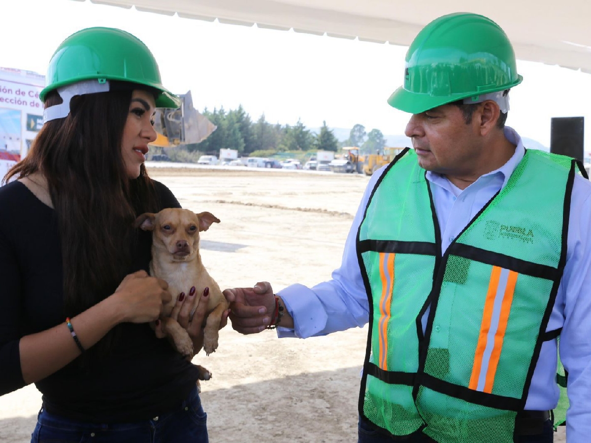 Seres sintientes requieren cuidado, no compras impulsivas: Gobierno de Puebla