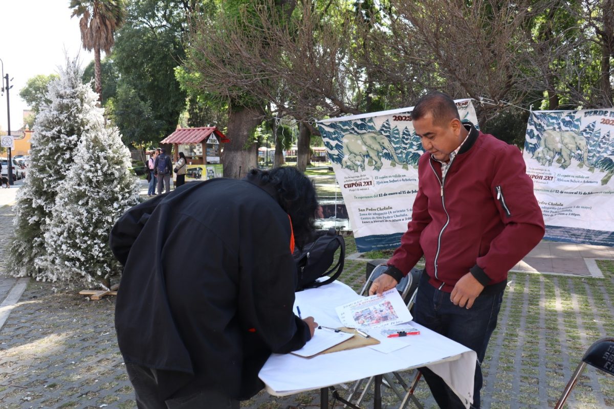 Promueve San Pedro Cholula el reciclaje de árboles de Navidad