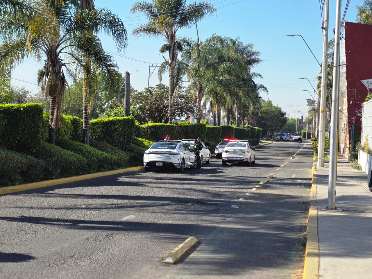 Evitan venta de autos en Villa Verde por operativo de seguridad