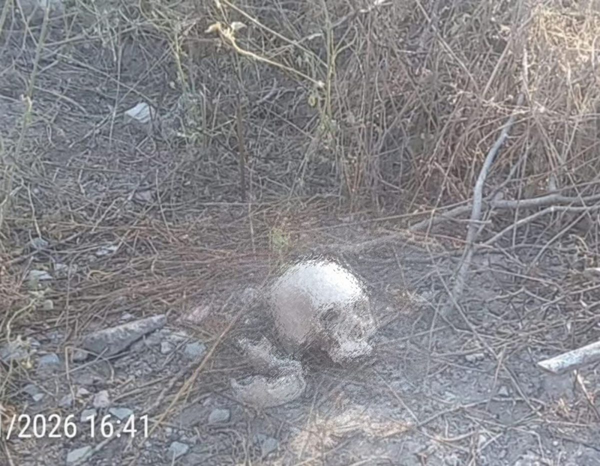 Hallan cráneo humano y restos óseos en Tehuacán