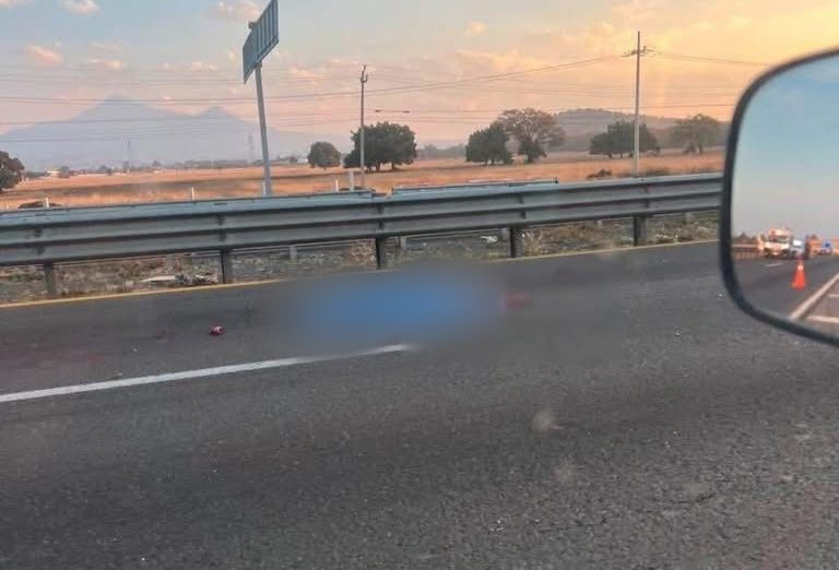 Persona acaba desmembrada en la Puebla-Orizaba