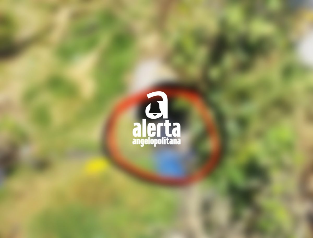 Tiran muertito en drenaje de la Romero Vargas (FOTO)