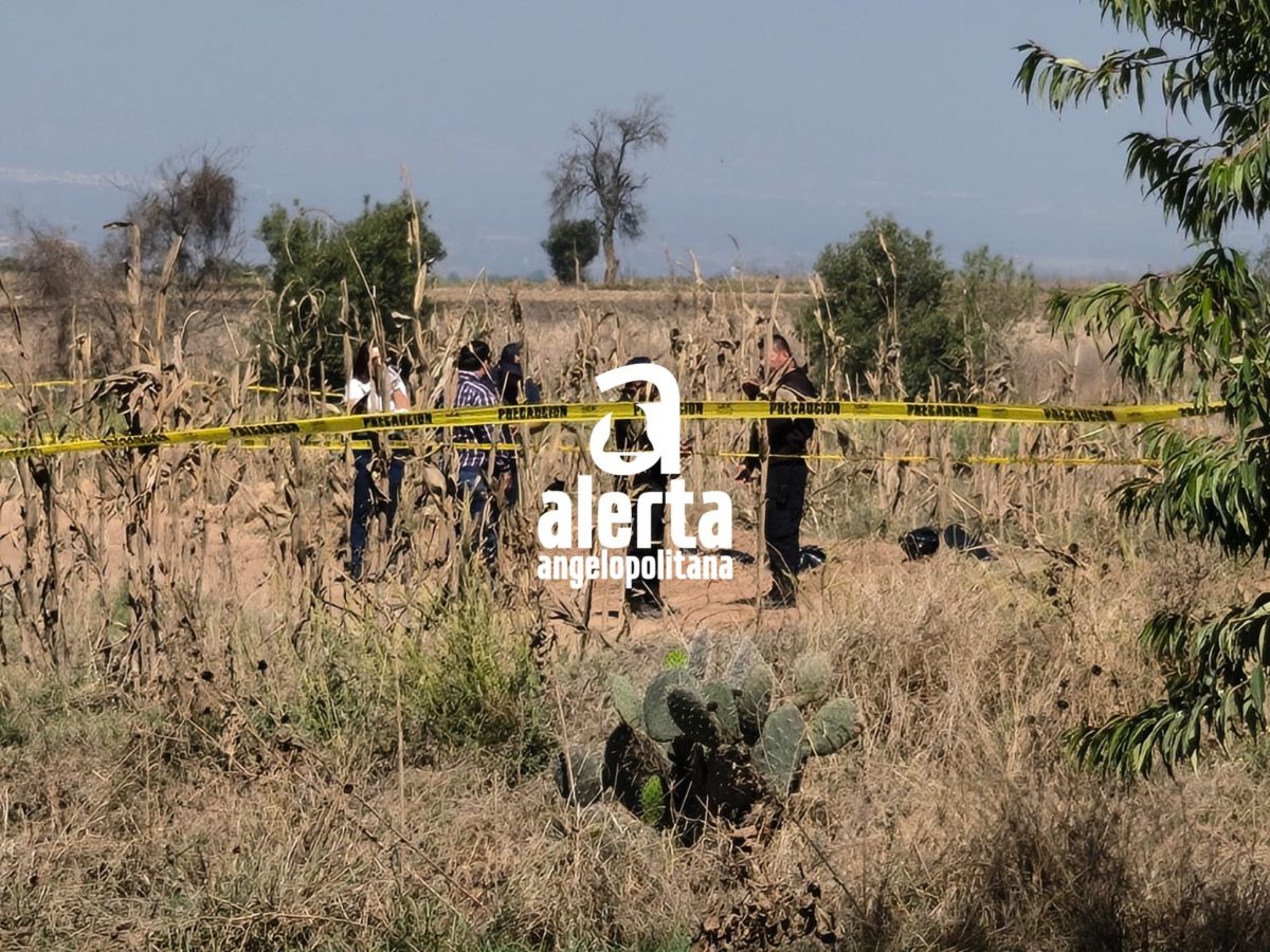 Descubren cadáver con el rostro destrozado en Coronango