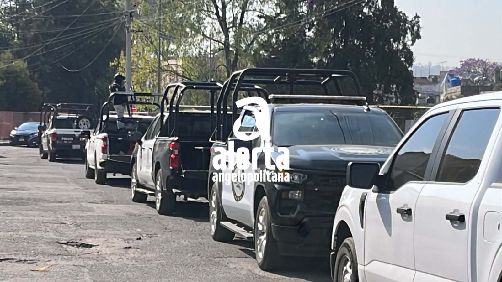 Agentes federales llevan a cabo un cateo en la colonia Joaquín Colombres