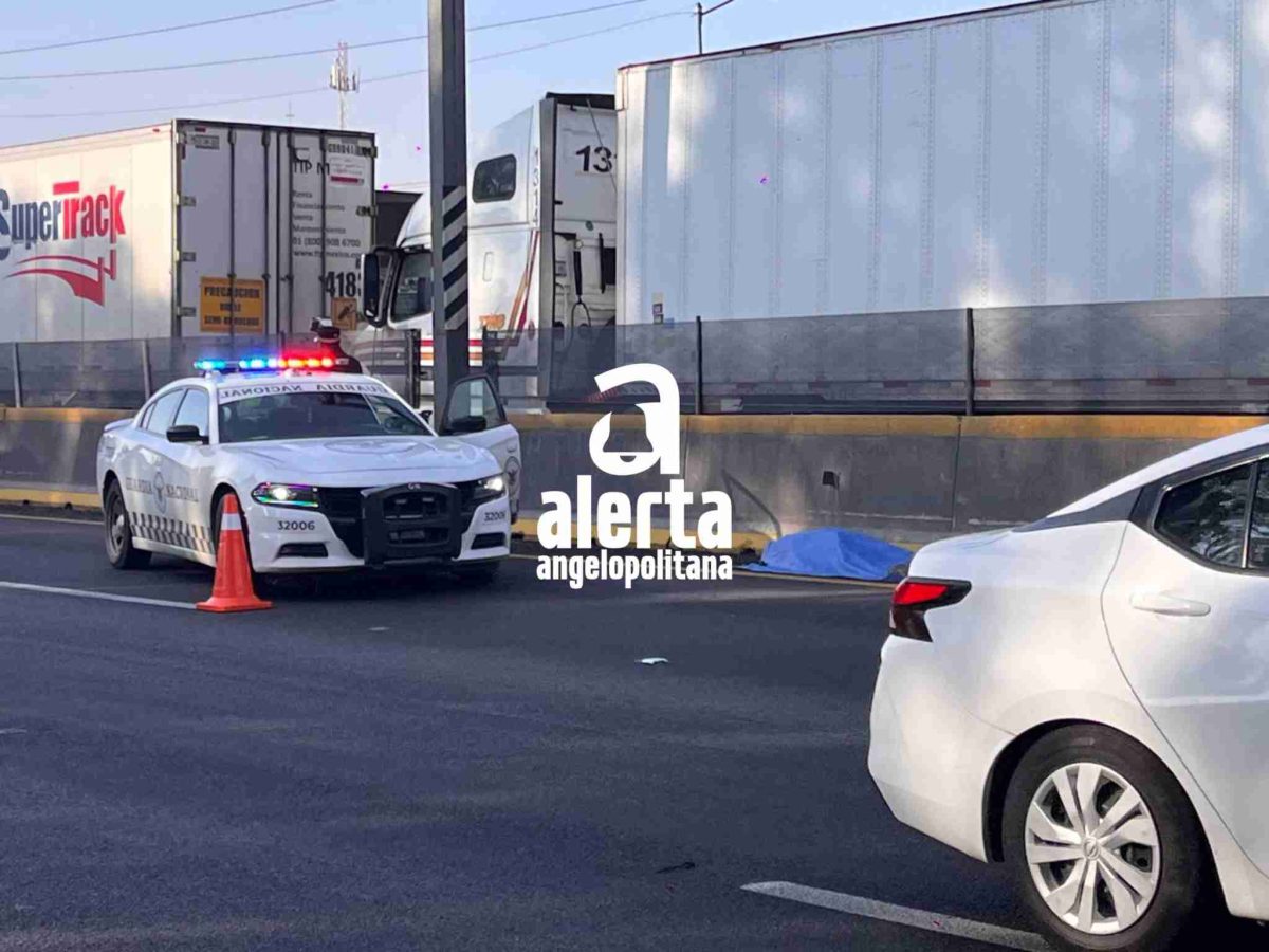 Indigente muere atropellado en la México-Puebla